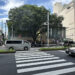 2025初夏の表参道